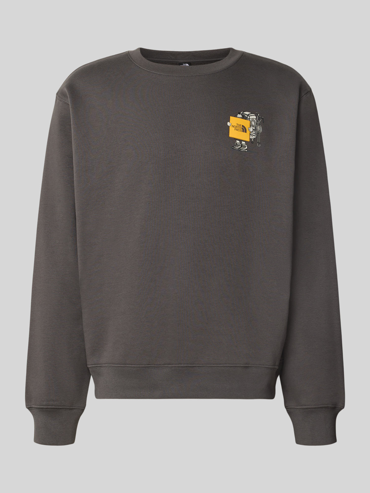 The North Face Gris Pullover Gear Up Get Out Rlx - Bild 4