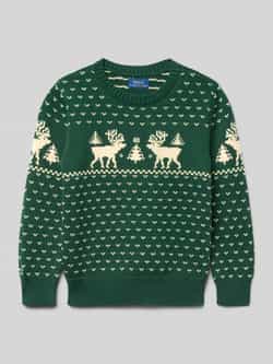 Polo Ralph Lauren Kids Gebreide pullover met ronde hals