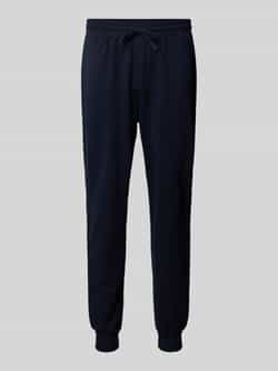 Tommy Hilfiger Blauwe sportieve herenbroek lente zomer Blue Heren
