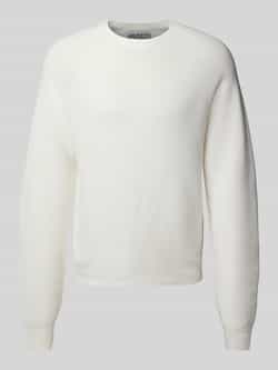 JAKE*S STUDIO MEN Gebreide pullover met ronde hals