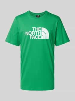 The North Face Groene T-shirts en Polos Easy Tee Green Heren