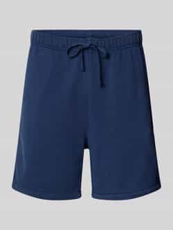 Polo Ralph Lauren Blauwe Katoenen Shorts met Pony Borduursel Blue Heren