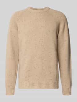 Carhartt Work In Progress Wollen pullover met ronde hals model 'ANGLISTIC'