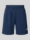 The North Face Shorts mit Logo Marine