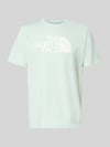 The North Face Regular Fit T-Shirt mit Logo-Print Modell 'Evolution' Mint