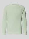 Tom Tailor Denim Regular Fit Strickpullover aus reiner Baumwolle Mint