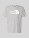 The North Face Regular Fit T-Shirt mit Logo-Print Modell 'Evolution' Hellgrau