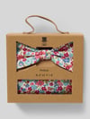 Prince Bowtie Strik en pochet in de set Felroze
