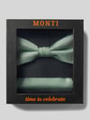 MONTI Fliege und Einstecktuch im Set aus reiner Seide Gruen