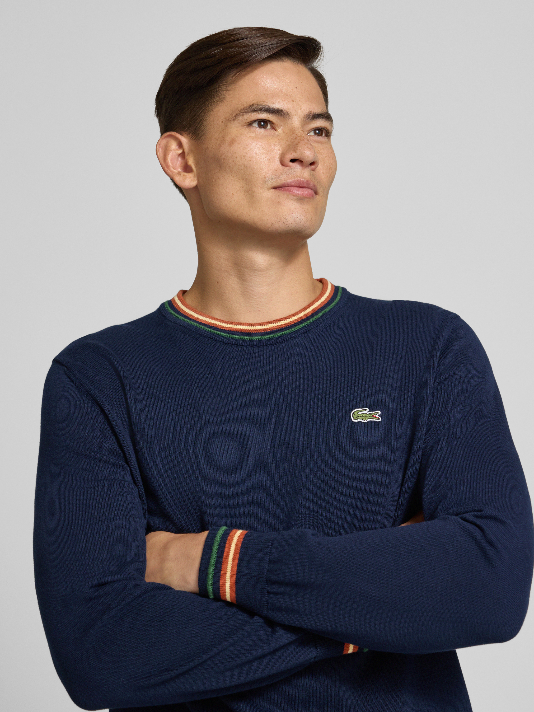 Lacoste Regular Fit Strickpullover aus reiner Baumwolle