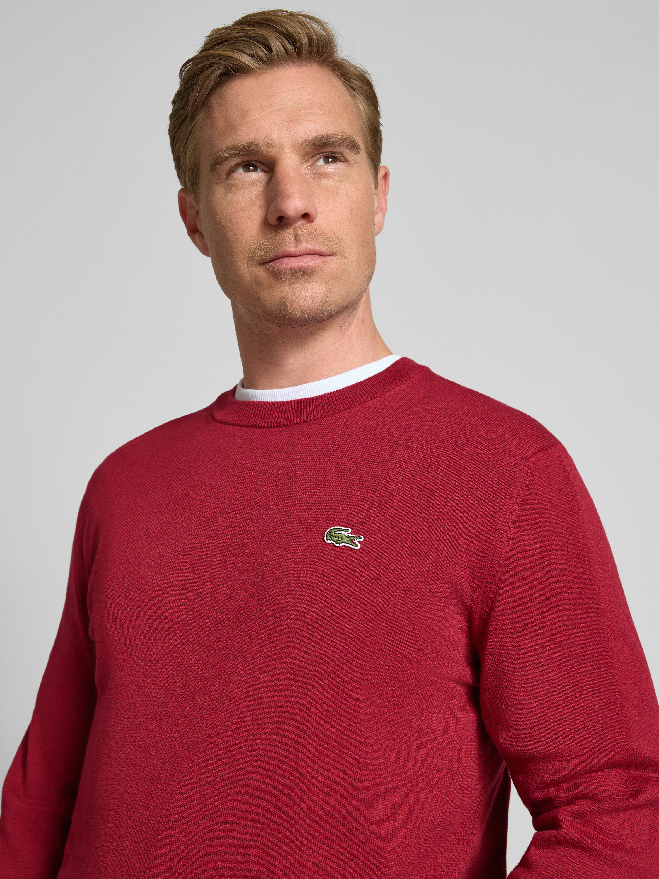 Lacoste Regular Fit Strickpullover aus Baumwoll-Mix (bordeaux