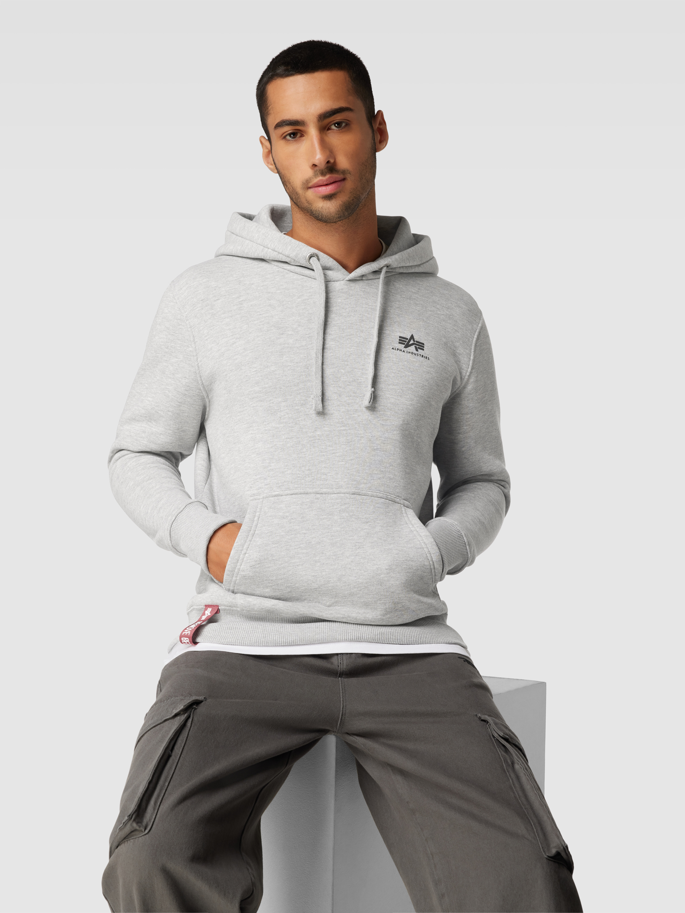 Alpha Industries Hoodie mit Label-Print Modell 'BASIC' (hellgrau ...