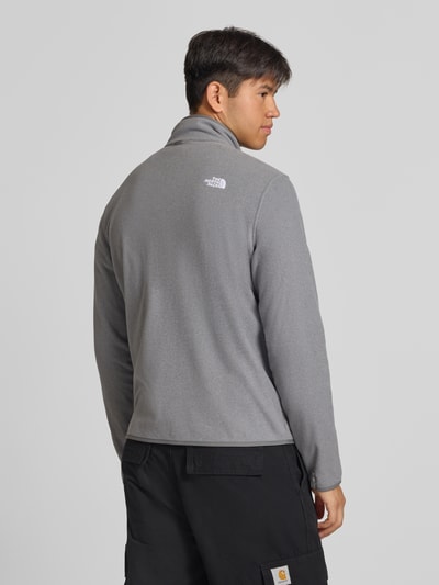 Männermodel trägt graue Fleecejacke mit Label-Stitching Modell 'GLACI' von The North Face, Rückansicht, Herren Regular Fit, Stehkragen.