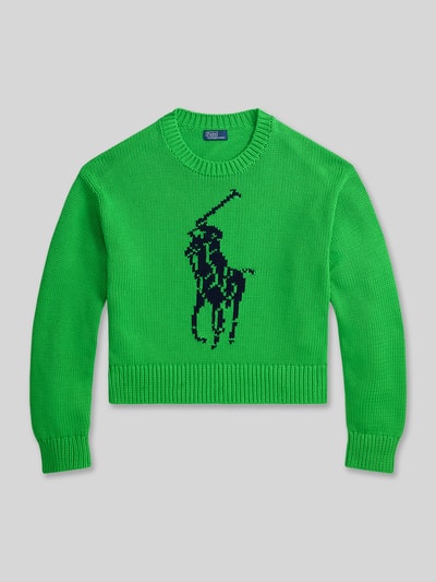 Produktfoto, Regular Fit Strickpullover aus reiner Baumwolle von Polo Ralph Lauren in Two Tone Grün mit großer dunkler Pony-Intarsia, Crew Neck, gerippte Bündchen, Damen Strickoptik