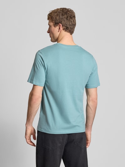Männermodel trägt Regular Fit T-Shirt aus reiner Baumwolle Modell 'COLE' von Jack & Jones in Hellblau, Rückenansicht Ganzkörperansicht.
