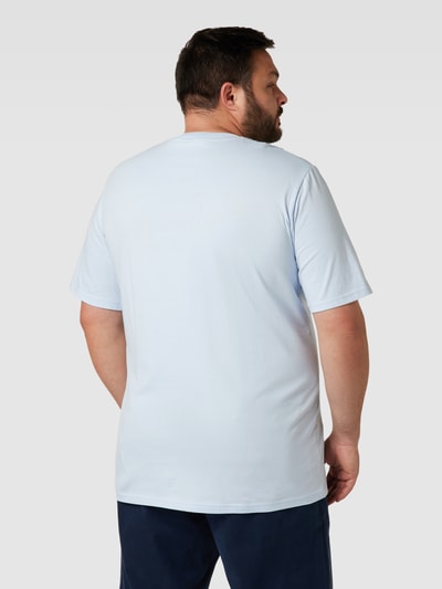 MARC O’POLO PLUS PLUS SIZE T-Shirt mit Label-Print Hellblau 5