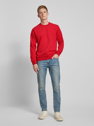 s.Oliver RED LABEL Sweatshirt mit Rundhalsausschnitt in unifarbenem Design Rot 1