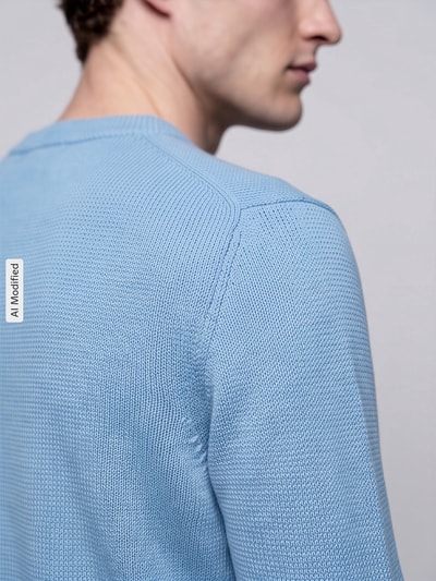 Selected Regular Fit Pullover aus reiner Baumwolle Modell 'DANE' Hellblau 3