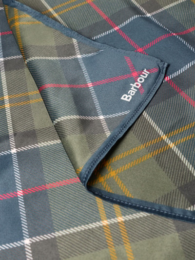 Produktfoto, kariertes Tuch mit Logo-Print Modell 'KINSALE' von Barbour in Grün- und Blautönen mit gelben und roten Linien, Damen Tuch von Barbour