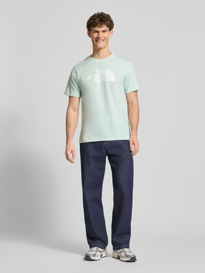 Männermodel trägt Regular Fit T-Shirt mit Logo-Print Modell 'Evolution' von The North Face, mintgrün, Baumwoll-Mix, Ganzkörperansicht von vorne.