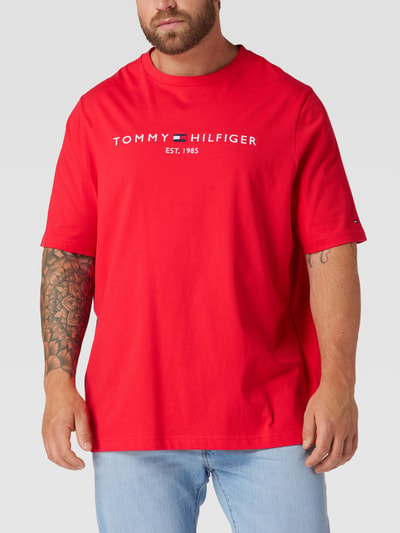 Big and tall tommy hilfiger t shirts online