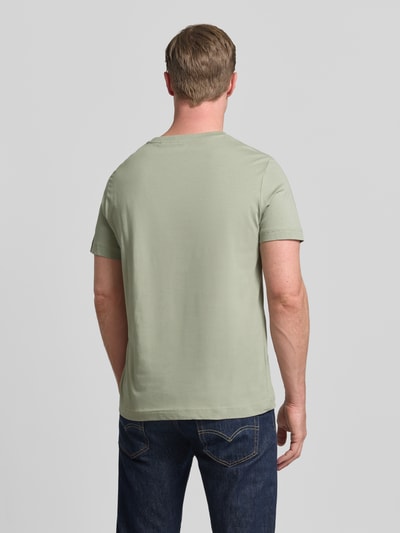 Männermodel trägt Regular Fit T-Shirt aus reiner Baumwolle von Tom Tailor, efekt: jednolity kolor, krój regular fit, wyhaftowane logo, okrągły dekolt, krótki rękaw, dżersej, bawełna, Ganzkörperansicht Rückansicht.