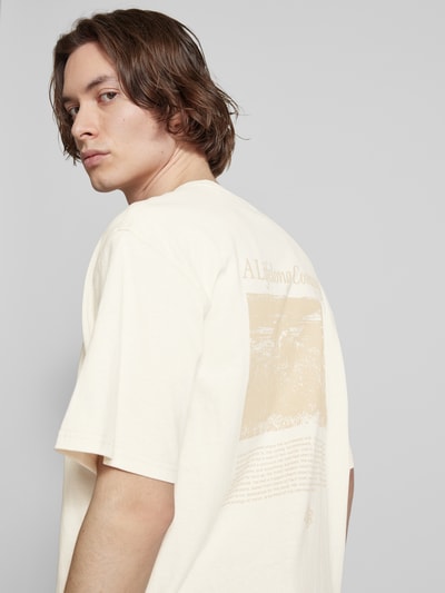 Dickies T-Shirt mit Label-Print Modell 'COMPANION SCRIPT' Offwhite 3