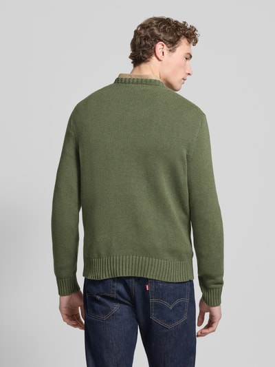 Mężczyznamodel ma na sobie Regular Fit Strickpullover aus reiner Baumwolle von Polo Ralph Lauren, motyw, okrągły dekolt, zielony, długość tyłu 66 cm, długość rękawów 67 cm, widok całej sylwetki z tyłu.