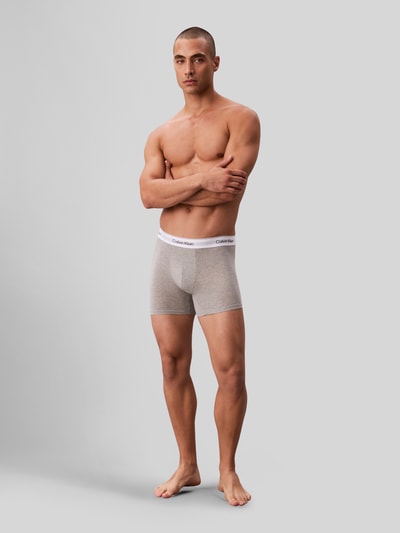Männermodel trägt Pant & Trunk mit elastischem Label-Bund im 3er-Pack von Calvin Klein Underwear, grau, Baumwoll-Elasthan-Mix, eng anliegend, Ganzkörperansicht von vorne.