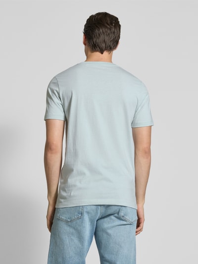 Tom Tailor Denim Regular Fit T-Shirt aus reiner Baumwolle Mint 5