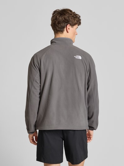 Männermodel trägt Fleecejacke mit Label-Stitching von The North Face in Grau, Stehkragen, Regular Fit, Ganzkörperansicht Rückansicht.