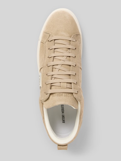Produktfoto, Sneaker mit Schnürverschluss von Antony Morato aus beigem Leder, abgerundete Spitze, strukturierte Sohle, Label-Detail, Draufsicht.