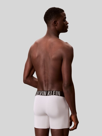 Calvin Klein Underwear Regular Fit Trunks im 3er-Pack Mint 5