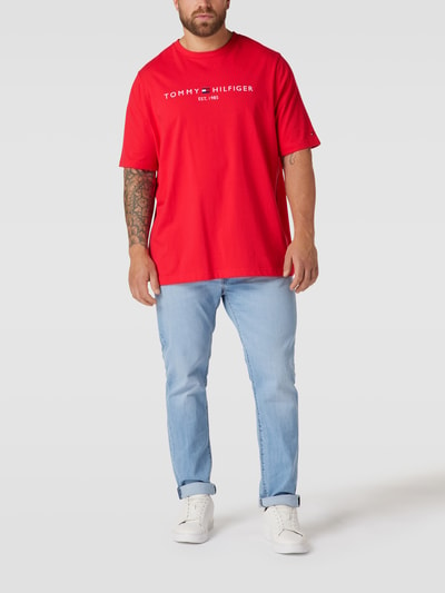 Big and tall tommy hilfiger t shirts on sale