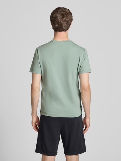 Männermodel trägt T-Shirt mit Logo und Rundhalsausschnitt von CHAMPION in Grün, reine Baumwolle, Regular Fit, Rückansicht, Ganzkörperansicht.