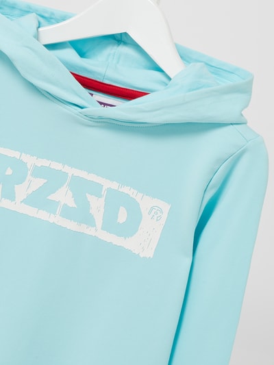 Raizzed Hoodie mit Stretch-Anteil Modell 'Perth' Mint 2