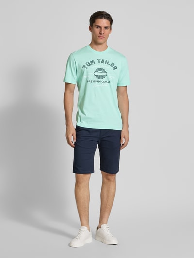Tom Tailor Regular Fit T-Shirt aus reiner Baumwolle Mint 1