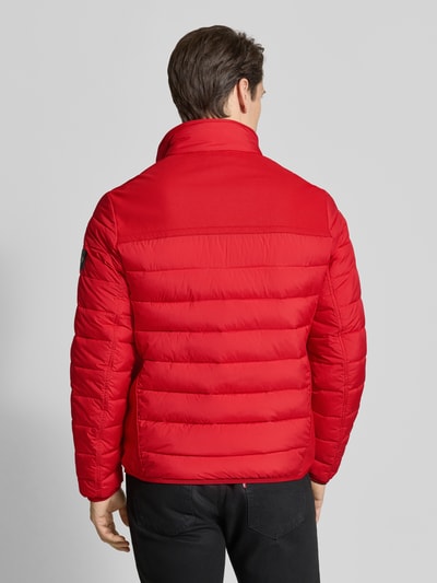 Männermodel trägt Regular Fit Steppjacke mit seitlichen Stretcheinsätzen von Tom Tailor in unifarbener Optik, Ganzkörperansicht Rückansicht.