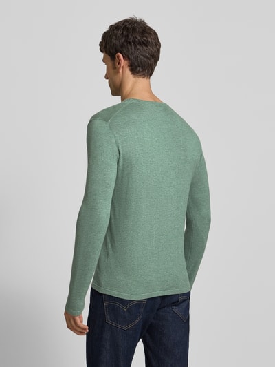 Męski model nosi Strickpullover mit Rundhalsausschnitt od Christian Berg Men, bawełna, regular fit, zielony, widok całej sylwetki z tyłu.