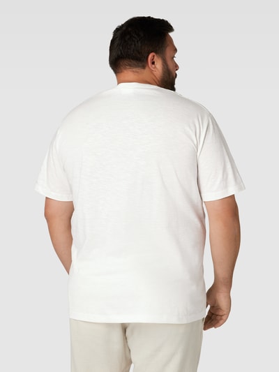 S.Oliver Plus T-shirt PLUS SIZE z nadrukiem z motywem Biały 5