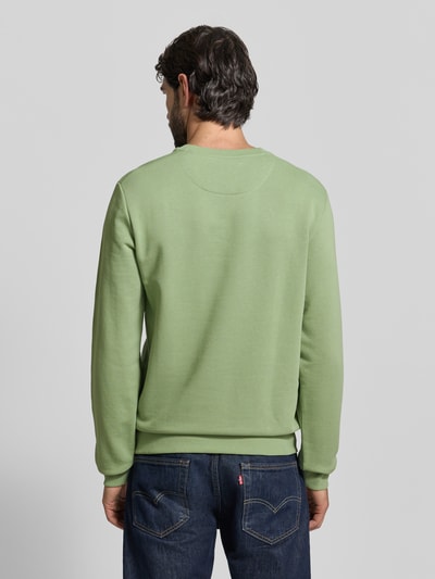 Mannenmodel draagt Regular Fit Sweatshirt aus Baumwoll-Mix van s.Oliver RED LABEL in effen lichtgroen, ronde hals, lange mouw, sweattricot, logo-stiksel, geribbelde boorden, geheel achteraanzicht.