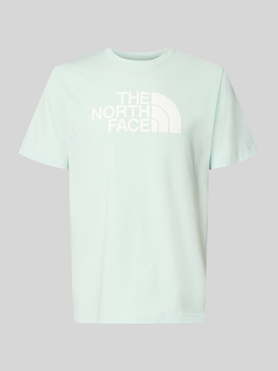 The North Face Regular Fit T-Shirt mit Logo-Print Modell 'Evolution' Mint 2