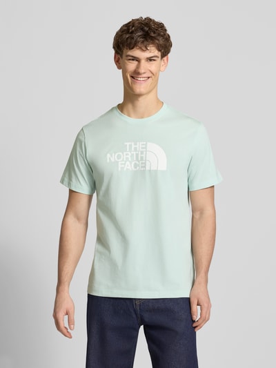 Männermodel trägt Regular Fit T-Shirt mit Logo-Print Modell 'Evolution' von The North Face, mintgrün, Baumwoll-Mix, Ganzkörperansicht von vorne.