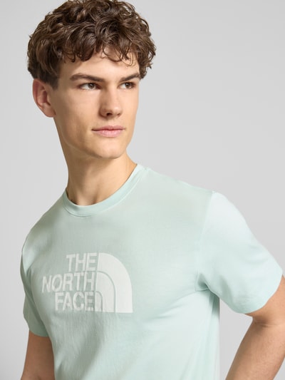 Männermodel trägt Regular Fit T-Shirt mit Logo-Print Modell 'Evolution' von The North Face in Hellgrün, Baumwoll-Mix, Nahaufnahme Oberkörper.