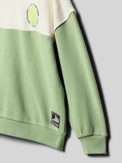 Produktfoto, Relaxed Fit Sweatshirt aus Baumwoll-Mix von s.Oliver RED LABEL in Two-Tone-Optik, Motiv-Stitching, Label-Patch, Sweat-Struktur, grün-weiß.