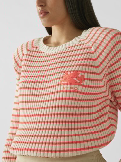 Etro Pullover mit Streifenmuster Rot 6