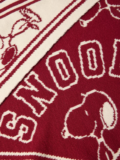 Produktfoto, Schal mit Viskose-Anteil im Allover-Look von Codello, Material-Mix, dreieckige Form, Strick-Optik, rot-beige Textur
