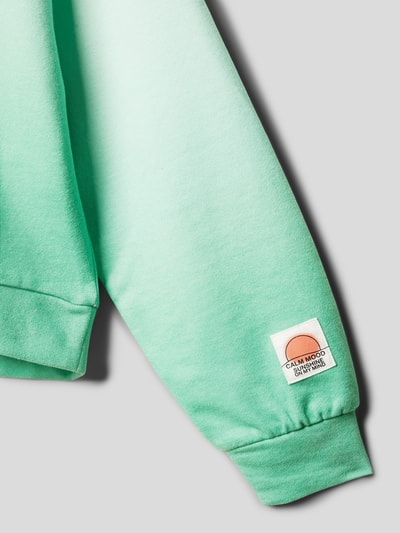 s.Oliver RED LABEL Hoodie mit Motiv-Patch Grün 2