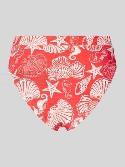 Shiwi Bikinibroekje met elastische band Koraal - 3