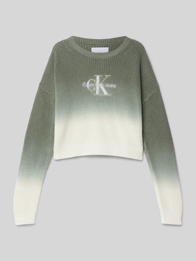 Calvin Klein Jeans Strickpullover mit Rundhalsausschnitt Schilf 1